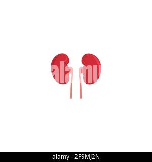 Modern Human Kidney with veins Icon Vector illustration. Simple Kidney sign for human anatomy, medical or healthcare concept. Kidney symbol isolated o Stock Vector
