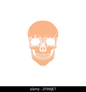 Modern Minimalist Human Skull Icon Vector Illustration. Simple skeleton of head icon for halloween or death concept. Skull symbol isolated on white Stock Vector