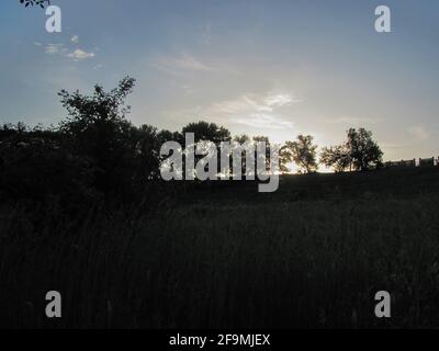 nightly countryside with trees against the sky Stock Photo