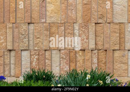 Modern rough textured limestone wall with attractive vertical aligned natural stone blocks in varying widths, showing foundation plants in foreground Stock Photo