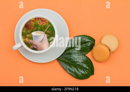 Collage. Porcelain coffee cup with view of woman's hand holding a cup of coffee in autumn park. Delicious macarons cakes with green leaves on peach co Stock Photo