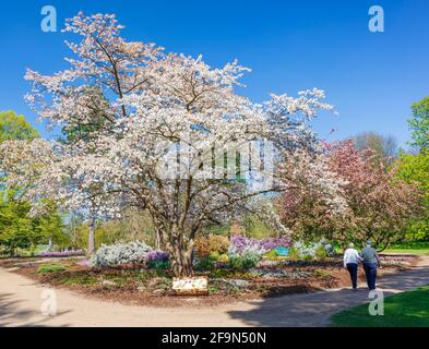 Senior couple walking around Wisley Gardens. Stock Photo