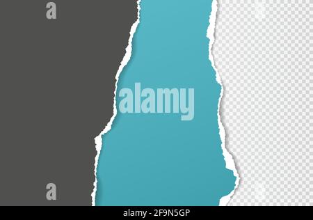 Torn, ripped dark grey and turquoise paper strips with soft shadow are on squared background for text. Vector illustration Stock Vector