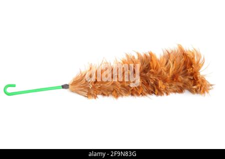 Chicken feather duster - isolated on white background Stock Photo - Alamy