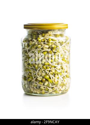 Sprouted green mung beans. Mung sprouts in jar isolated on white background. Stock Photo