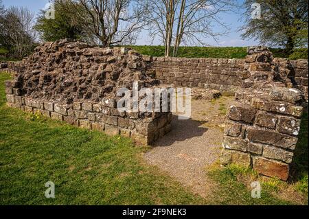 Banks East Turret or observation tower, Hadrians Wall Stock Photo