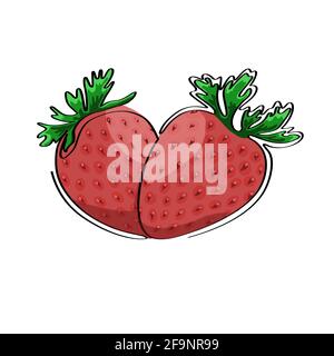 Strawberries hand-drawn in one line. Isolated stock vector illustration Stock Vector
