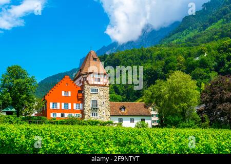 View of the famous red house in liechtenstein. Stock Photo