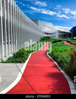 Empty red walkway for running in the garden near shopping mall. Running track in the park with green ornamental plant on sunny day. Public park. Stock Photo