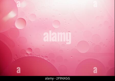 oil with air bubbles on coral background. Pink Abstract space background. Soft selective focus. macro of oil drops on water surface. copy space. air b Stock Photo