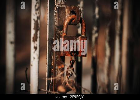 An old rusty metal padlock hangs on an old abandoned gate in the gloomy weather of autumn. Fearfully. Stock Photo