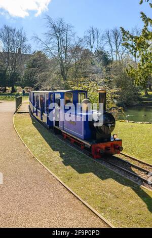 Pavilion Gardens, Buxton, Derbyshire, UK. People riding a train on the narrow gauge miniature railway in the town park. Stock Photo