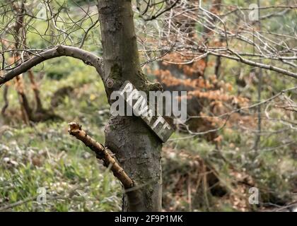 Wooden private property sign nailed to tree in creepy eerie forest woodland.  No people outdoors closeup on branches. Stock Photo