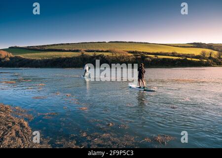 A family of holidaymakers having fun paddling their Stand Up Paddleboards at high tide on the Gannel River in Newquay in Cornwall. Stock Photo