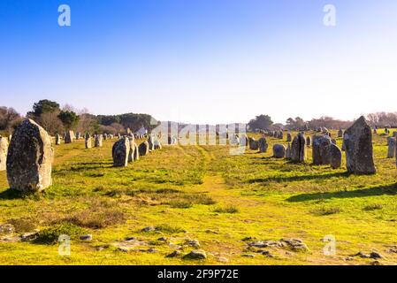Miles long megalithic stones alignement in Carnac, Brittany Stock Photo