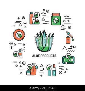 Aloe web banner. Infographics with linear icons on white background. Creative idea concept. Isolated outline color illustration. Stock Vector