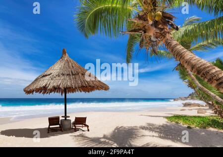 Tropical Paradise beach. Parasol in Sunny beach with palm trees and turquoise sea. Stock Photo