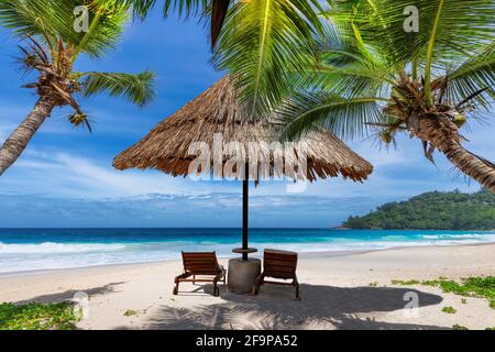 Coco palms in tropical Paradise Sunny beach and sun umbrella in exotic island. Stock Photo