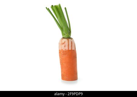 Half of carrot isolated on white background Stock Photo
