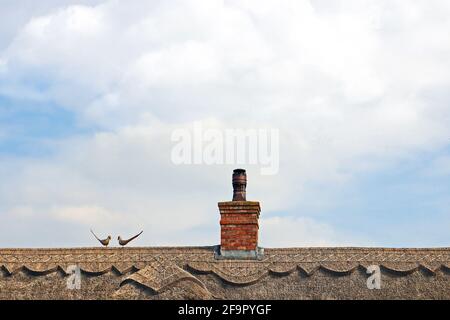 Traditional British thatched roof. Ancient architectural construction's style. Countryside house in the UK. Stock Photo