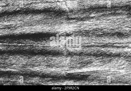 Distressed overlay texture of natural fur, grunge vector background. abstract halftone vector illustration Stock Vector