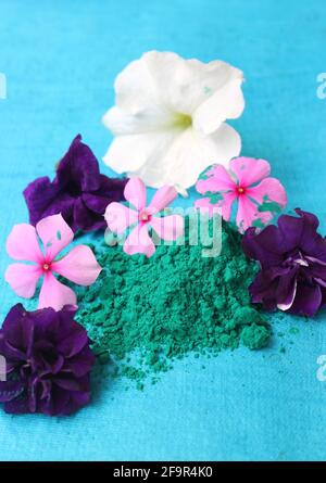 Colorful flowers and non toxic gulal powder for celebrating the traditional Indian festival of  Holi Stock Photo