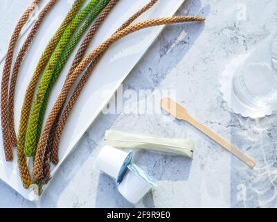 Flat layout of glass on a napkin, wooden coffee stick, sugar stick, liquid coffee creamers, and green and orange branches of araucaria tree on a tray. Stock Photo
