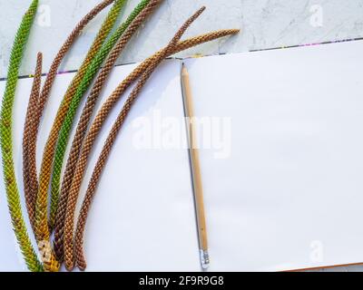 Flat layout of an open notebook with pencil and a bunch of green and orange branches of araucaria tree on a table with marble texture. Thoughtful mood Stock Photo