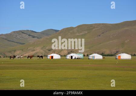 traditional ger tents in the Orkhon River Valley of Central Mongolia ...