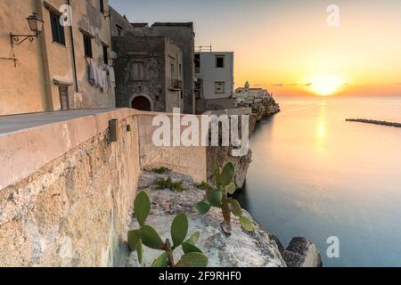 Stone houses of Vieste old town lit by sunrise, Foggia province, Gargano National Park, Apulia, Italy Stock Photo