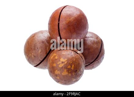 heap of macadamia nuts in nutshell with saw cut protein healthy food isolated on white background, nobody. Stock Photo