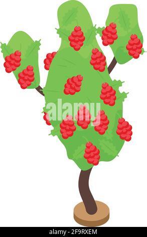 Red berry fruit tree icon. Isometric of Red berry fruit tree vector icon for web design isolated on white background Stock Vector