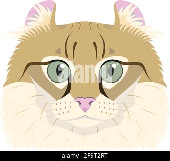 American Curl cat isolated on white background vector illustration Stock Vector