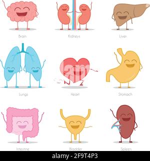 Set of 9 human organs in cartoon style: brain, kidneys, liver, lungs, heart, stomach, intestine, bladder and spleen. Stock Vector