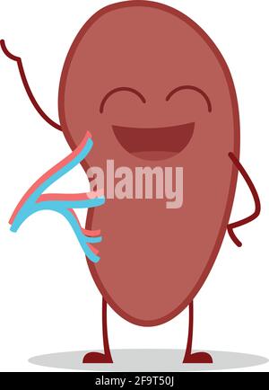 Vector illustration of a healthy and funny spleen in cartoon style. Stock Vector