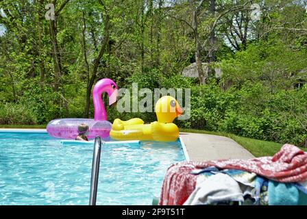 yellow duck and pink flamingo inflatable floating in a backyard swimming pool Stock Photo