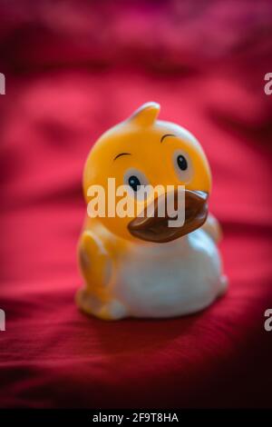 Cute yellow rubber duck toy against pink background Stock Photo
