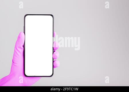 A hand in a pink medical glove holds a black smartphone with a blank white screen and isolated on a gray background. Place for text Stock Photo