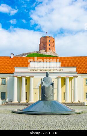 The Lithuania National Museum under the Gediminas hill in Vilnius,Lithuania Stock Photo