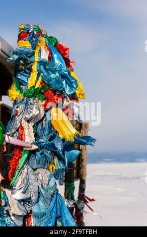 Colored ritual ribbons tied on the tree. Altai Stock Photo - Alamy