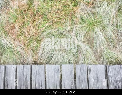 Wooden floor boards with blurred grass in background, selective focus. Stock Photo
