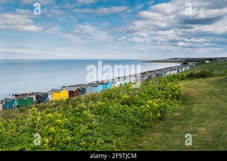 Pretty colourful beach huts along the seafront with groynes. There is grass in the foreground and a pretty fluffy cloud sky. Stock Photo