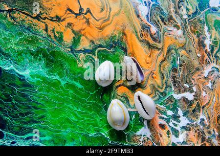 Seashells on a bright background. Acrylic Pouring Stock Photo