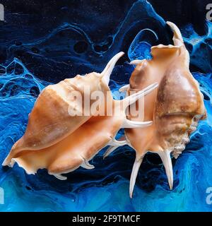 Seashells on a bright background. Acrylic Pouring Stock Photo