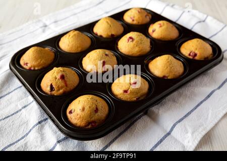 Homemade Cranberry Muffins with Orange Zest in a baking pan, side view. Stock Photo