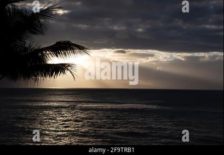 Humpback whale spout on horizon as sunlight breaks through clouds over ocean. Stock Photo