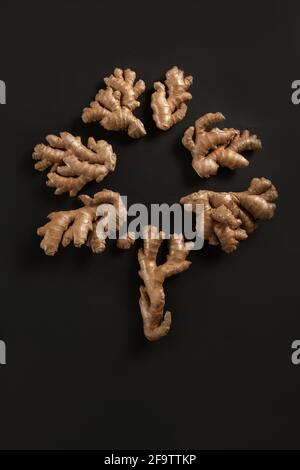 Fresh ginger roots arranged in tree shape on black background whith copy space. Stock Photo