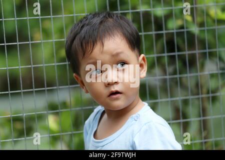 Asian boys was looking at the animals in the zoo with great interest and surprise. Stock Photo