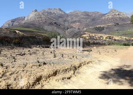 Cape Town. 20th Apr, 2021. Photo taken on April 20, 2021 shows burned vegetation near Vredehoek, Cape Town, South Africa. The wildfire that broke out on South Africa's iconic Table Mountain on Sunday morning has been largely contained but the danger remains, the Western Cape provincial government said in a statement Tuesday. Credit: Lyu Tianran/Xinhua/Alamy Live News Stock Photo