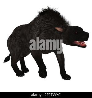 The Warhound also called Hellhound is the mythical dog that guards the gates of Hell with glowing red eyes. Stock Photo